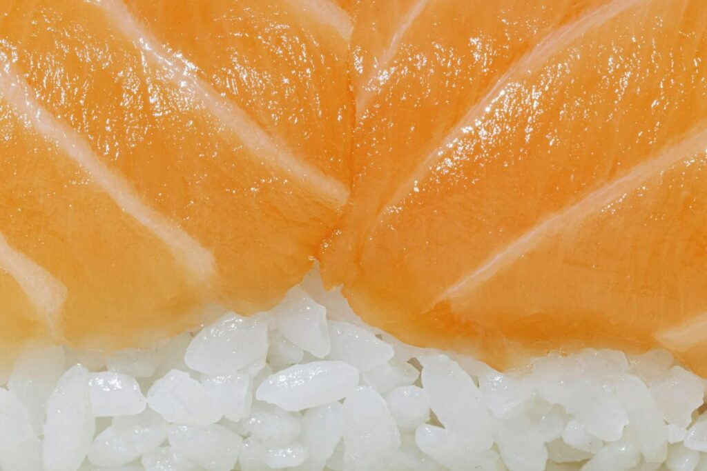 An extreme close up of a sushi highlighting the beautiful look of both the salmon and the rice.