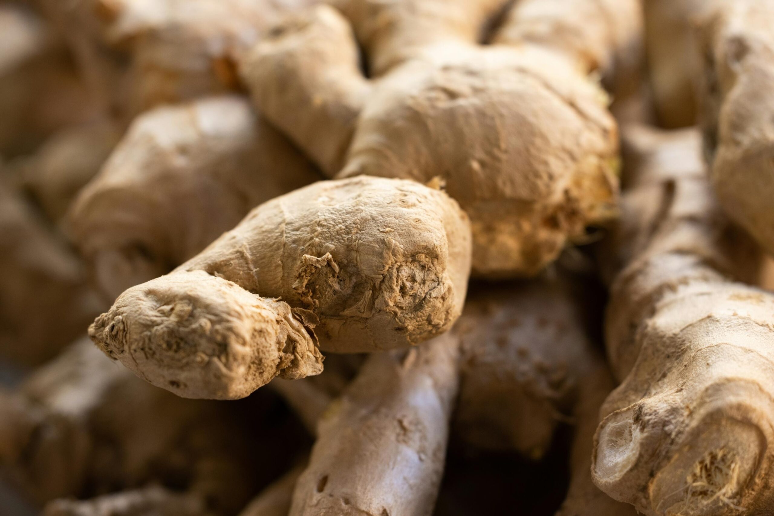 This close-up image features a pile of raw ginger roots, displaying their characteristic knobby, light brown skin and irregular branching shapes. The sharp focus on the foreground emphasizes the rough, papery texture of the rhizomes, while the background remains softly blurred.