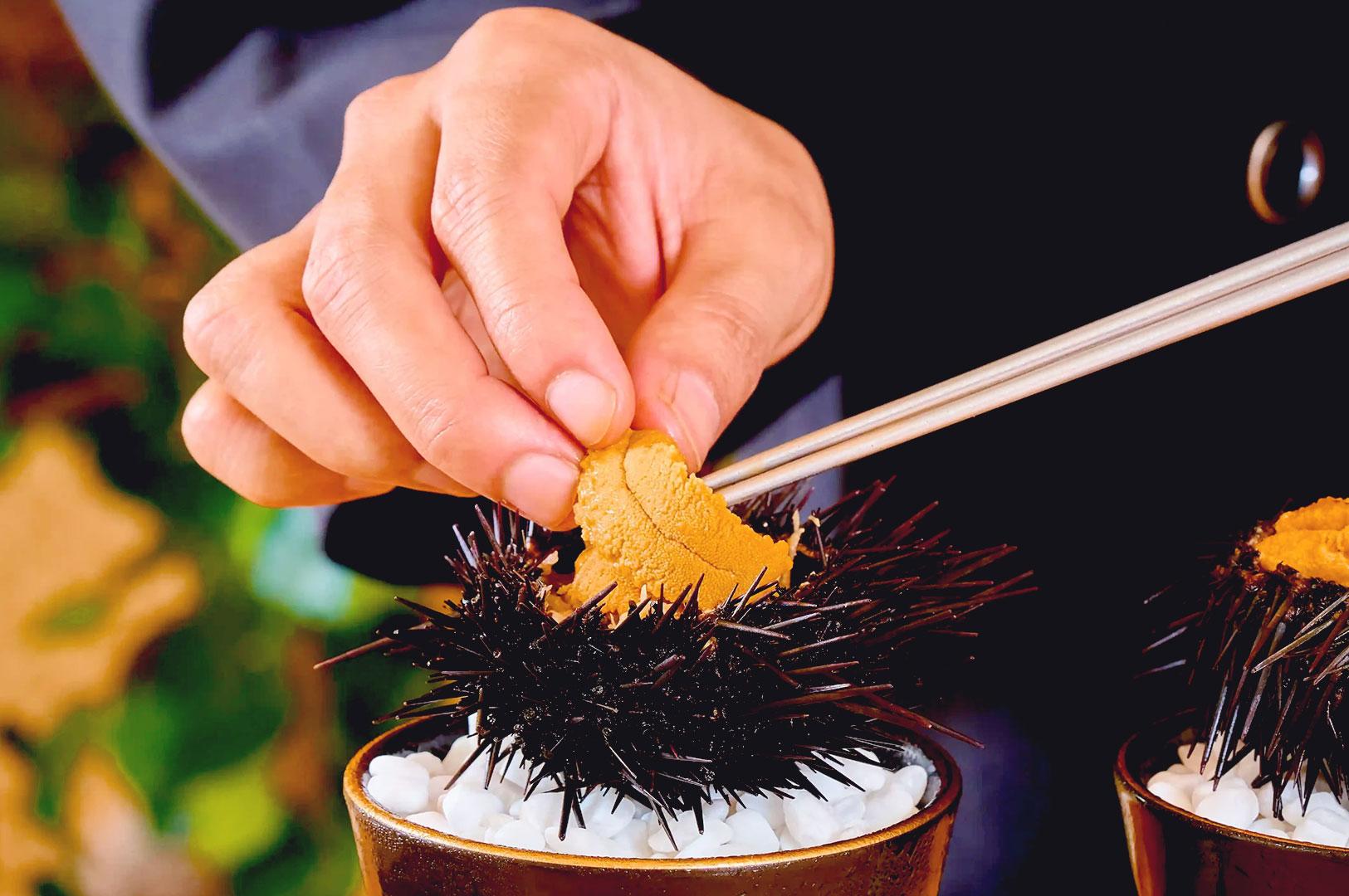 Fresh sea urchin uni served in shell at affordable sashimi spot Singapore